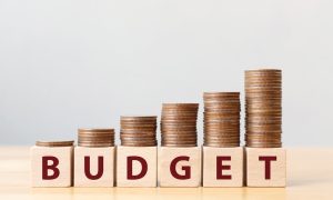 Budget for next fiscal year to focus on economic revival, growth