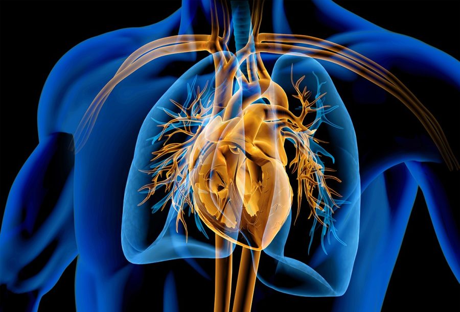 National conference of National Heart and Lung Society taking place on May 7