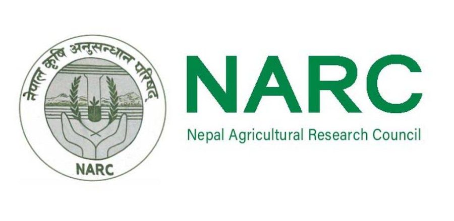 NARC preserves more than 18,000 varieties of 300 crops