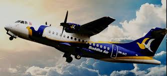 All domestic flights to be closed on Election Day