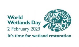World Wetlands Day: Preserving wetlands challenging